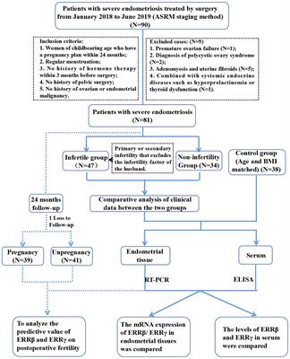 Endometrial expression of ERRβ and ERRγ: prognostic significance and clinical correlations in severe endometriosis